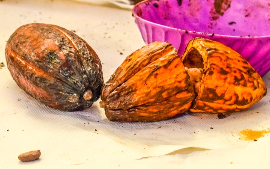 bacca-cacao-modica Chocomodica: la festa del cioccolato di Modica